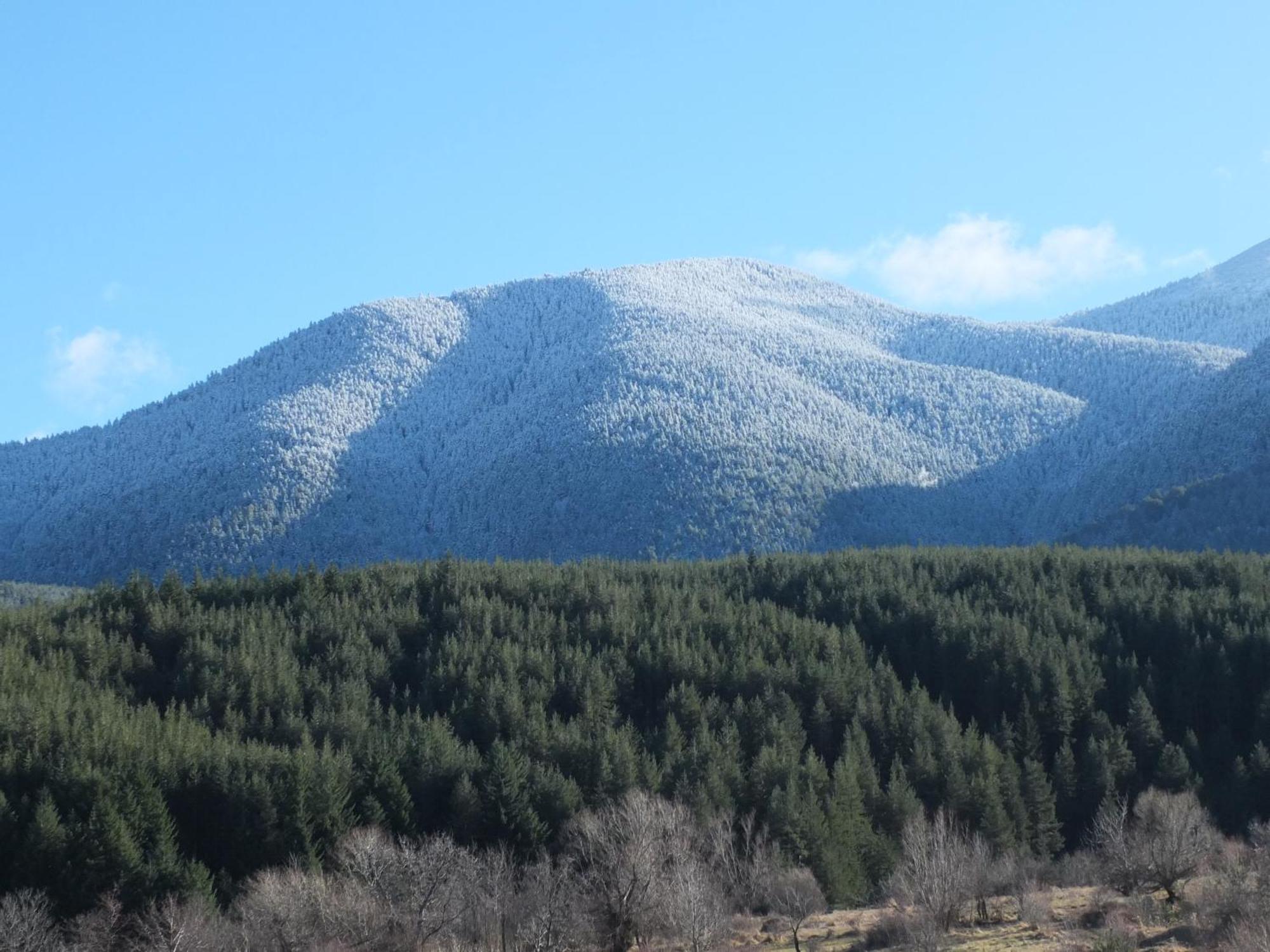 Pirin Heights A-21 Близо До Ски Пистата 班斯科 外观 照片